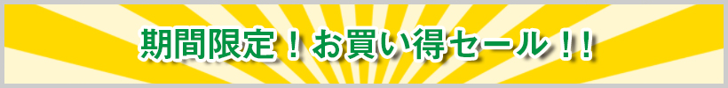 今だけ特別！激安キャンペーン随時開催中！